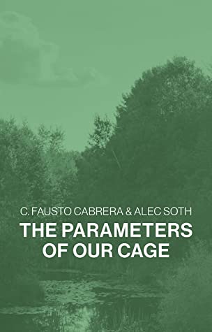 The Parameters of our Cage